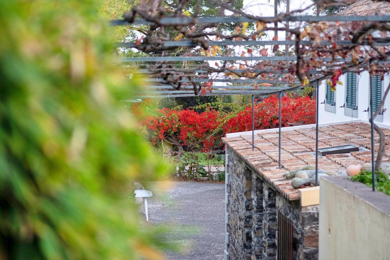 Ourmadeira - Loja Da Lenha, Charming Leilighet Funchal  Eksteriør bilde