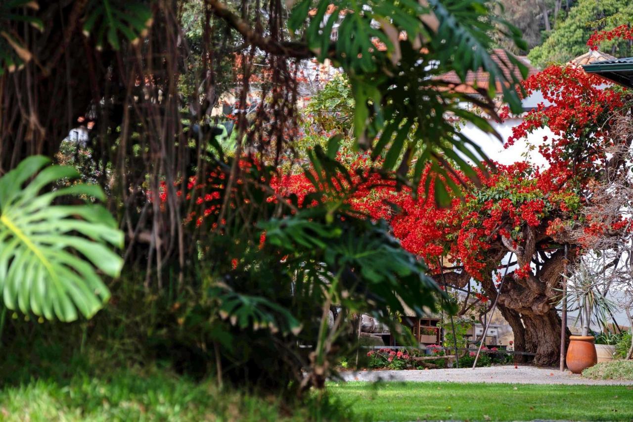 Ourmadeira - Loja Da Lenha, Charming Leilighet Funchal  Eksteriør bilde