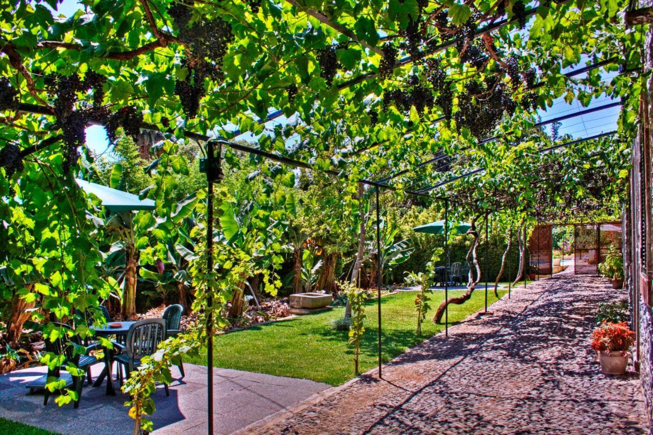 Ourmadeira - Loja Da Lenha, Charming Leilighet Funchal  Eksteriør bilde