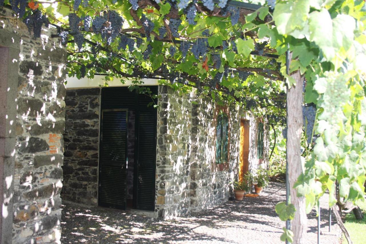 Ourmadeira - Loja Da Lenha, Charming Leilighet Funchal  Eksteriør bilde